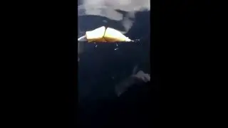 Whippy J Action