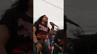 Transmetal en él Chopo (041025)
