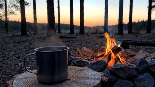 Quiet Forest Cabin Moment ☕ Soft Firelight, Gentle Nature Sounds & Slow Living Ambience