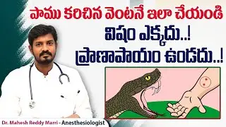 పాము కాటుకు చికిత్స || First aid for Snakebite in Telugu || Snake Bite Treatment || One Hospitals