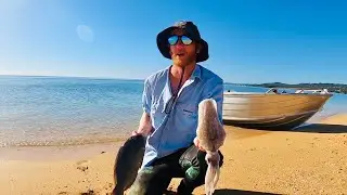 BLUEBONE & SQUID Moreton Bay | CATCH, CLEAN & COOK