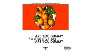 FLMMBOiiNT FRDii - ARE YOU DUMM? (Produced by Paper Platoon)