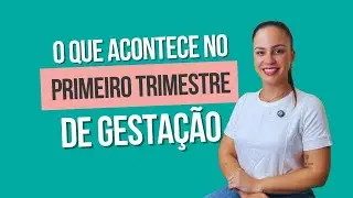 O que acontece no Primeiro Trimestre de Gestação.