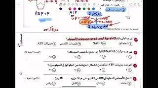 حل التنفس الخلوي. كتاب الامتحان . الصف الثاني الثانوي