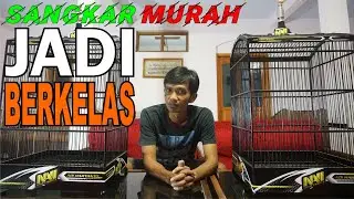sangkar burung murah setelah di proses decal stiker hasilnya jadi KEREN #dscreative