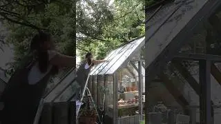 How I keep this greenhouse clean 🧼 #cottagegarden
