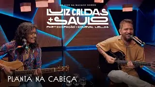 Luiz Caldas E Saulo - Planta Na Cabe&ccedil;a (Ao Vivo na Macaco Gordo)
