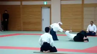 Iga Ryuha Katsu Shin Ryu Jujutsu