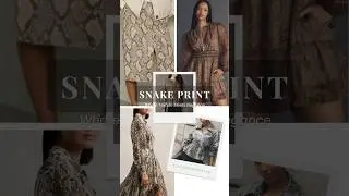 FW 2025 Snake Print &mdash; Subtle Luxury in Motion