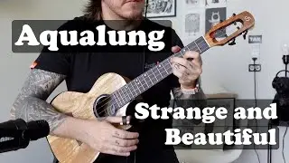 Aqualung - Strange and Beautiful ukulele cover