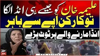 Aleema Khan Egg Incident, PTI Supporters Lose Control - ARY News