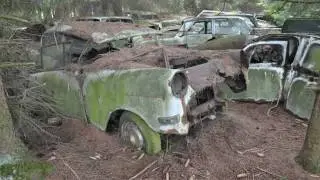 Car cemetery Belgium