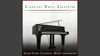 Piano Sonata - Mozart - Classical Piano - Classical Study Music
