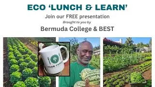 Eco Lunch & Learn: 