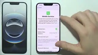 iPhone 16e: How to Turn On Mobile Data Saver