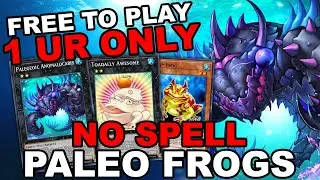 NO SPELL PALEOZOIC FROG! FREE TO PLAY 1 UR ONLY ANTI-SPELL FESTIVAL F2P DECK (Yu-Gi-Oh! Master Duel)