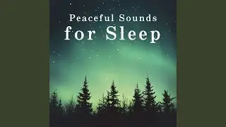 Shadows of Drifting Sleep