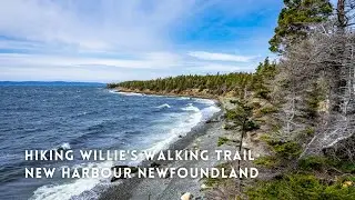 Willie's Walking Trail New Harbour Newfoundland - Discovering Newfoundland -