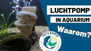 Luchtpomp aquarium