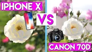 IPHONE X CAMERA TEST! iPhone X VS iPhone 6S VS Canon 70D