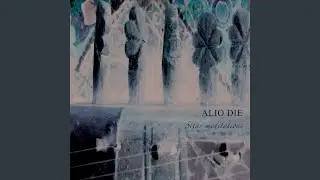 A Place Beyond