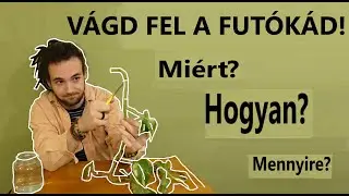 Szobai futóka feldarabolása