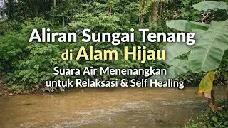 Aliran Sungai Tenang di Alam Hijau | Suara Air Menenangkan untuk Relaksasi & Self Healing