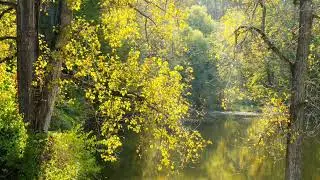 Kiss of nature & RightMusic