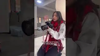 Проведите со мной день, работая с искусственными кошками 😂