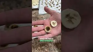 Freeze Drying VS Dehydrating: Bananas!