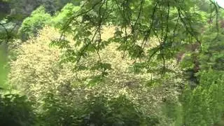 PRG011 MOV063