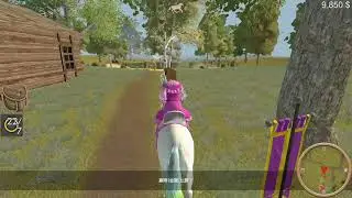 (Switch)The Unicorn Princess