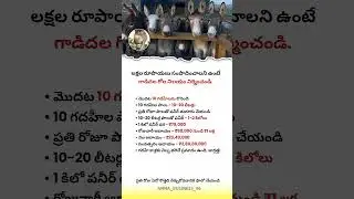 donkey milk business || secret business ideas 🔥💯