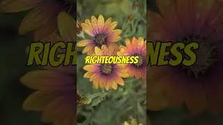 Gift of Righteousness Song | Grace Based Music | Robert Batchelor