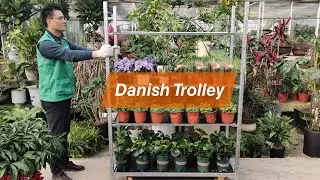 Horticultural Danish Plant Flower Trolley Shelves for Sale