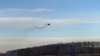 Synergy N556 canomod