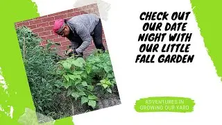 How To Plant A Fall Garden In Georgia