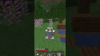 AXOLOTL!!! #minecraft #aggc #akarii_
