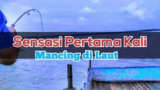 Spot Mancing Pondok Bali Subang || Best Fishing || Mancing Hari Ini
