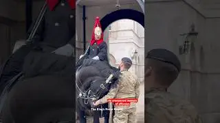 When a horse chooses comfort in a soldier&rsquo;s presence 🤍&rdquo;#london #horse #soldier #respect #history