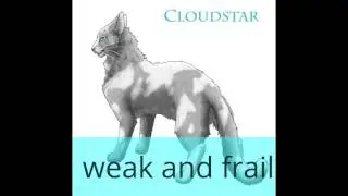 SkyClan's Leaders and their deaths
