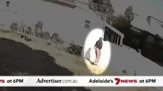 The Advertiser, 7NEWS Adelaide: LIV Adelaide on the move, Dognapper learns fate