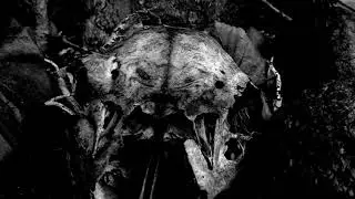 HELGE 