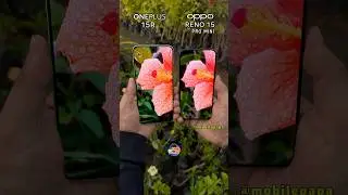 Oneplus 15R Vs Oppo Reno 15 Pro Mini Camera Zoom Test #mobilepapa #shorts