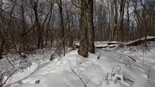Catskill 3500   Halcott    4K