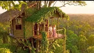 Tree House Build in Amazon Jungle 🌿 | Pure Nature Sounds (ASMR) 