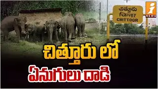 చిత్తూరు లో ఏనుగులు దాడి | Elephant @ttack in Chittoor | AP Government Reaction | iNews