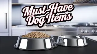 Top 10 Must Haves for New Dog Owners!
