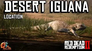 Desert Iguana Location - Red Dead Redemption 2