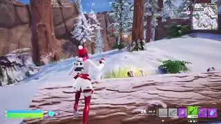 Fortnite PUBS